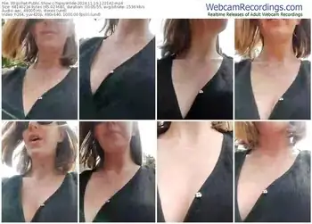 stripchat-topsywilde-11-19-2024-12-21-42