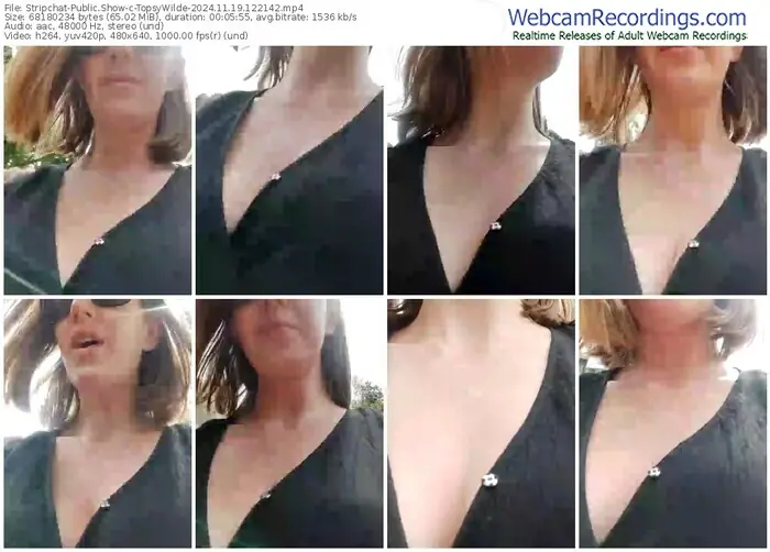 stripchat-topsywilde-11-19-2024-12-21-42