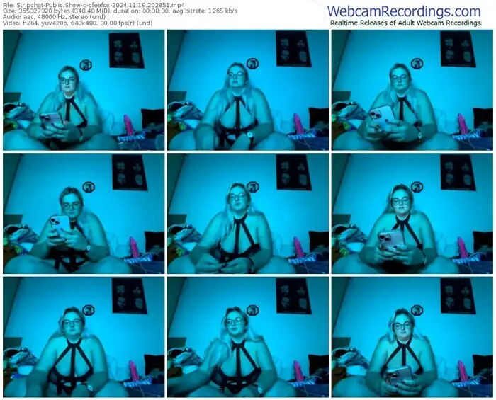 stripchat-ofeefox-11-19-2024-20-28-51