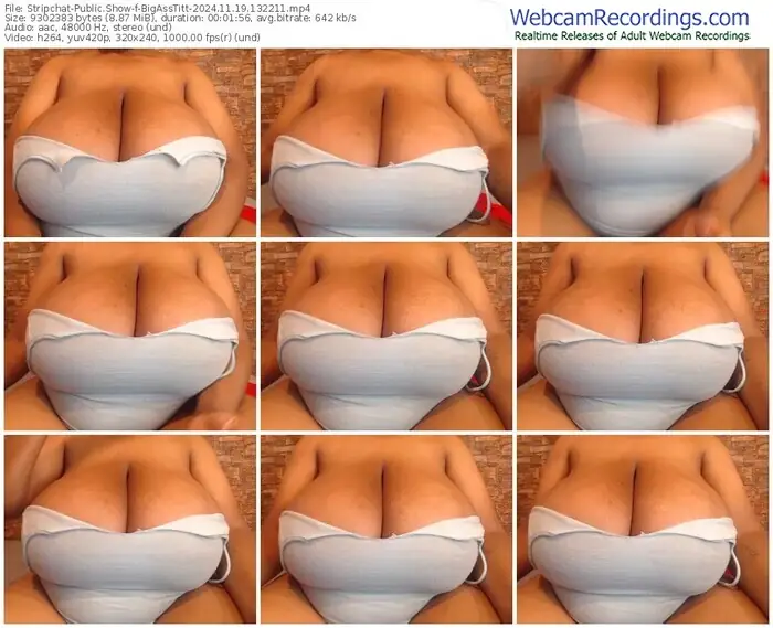 stripchat-bigasstitt-11-19-2024-13-22-11