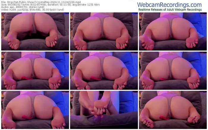 stripchat-crystalrey-11-19-2024-04-22-20