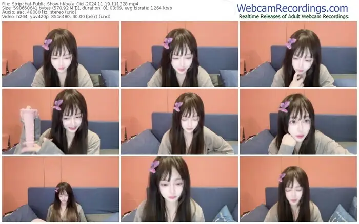 stripchat-koala_cici-11-19-2024-11-13-28