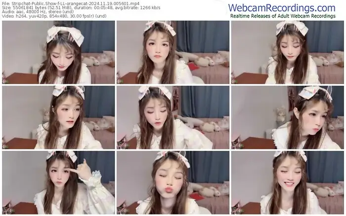 stripchat-ll-orangecat-11-19-2024-00-56-01