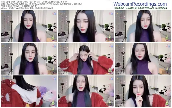 stripchat-lucky_cat--11-19-2024-16-51-14