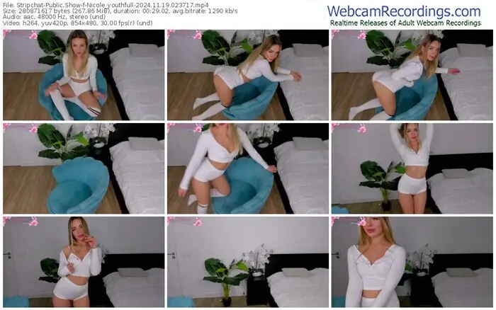 stripchat-nicole_youthfull-11-19-2024-02-37-17