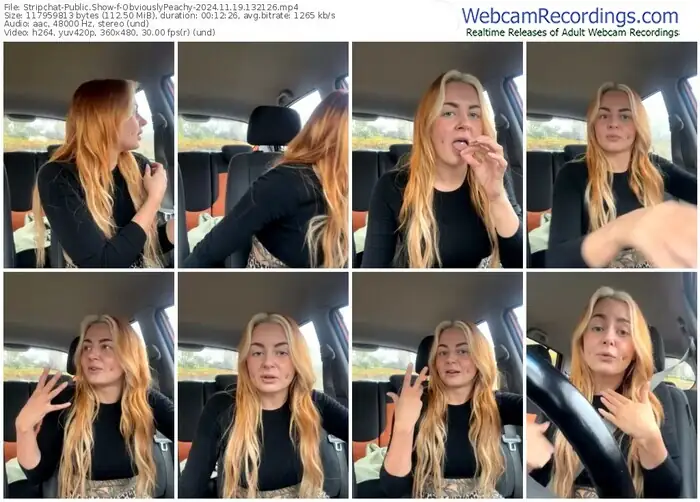 stripchat-obviouslypeachy-11-19-2024-13-21-26