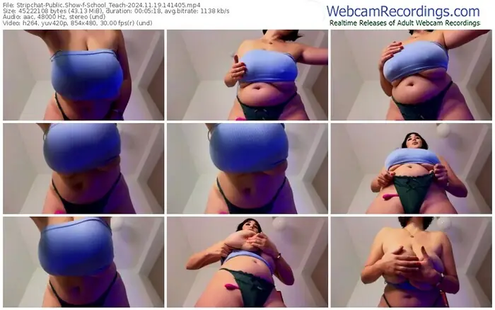 stripchat-school_teach-11-19-2024-14-14-05