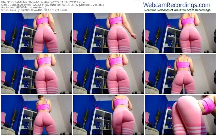 stripchat-stacyhotty-11-19-2024-17-33-13