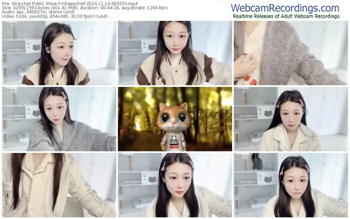 stripchat-villagechief-11-19-2024-06-55-33
