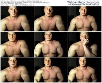 stripchat-lionedwin-11-19-2024-20-26-25