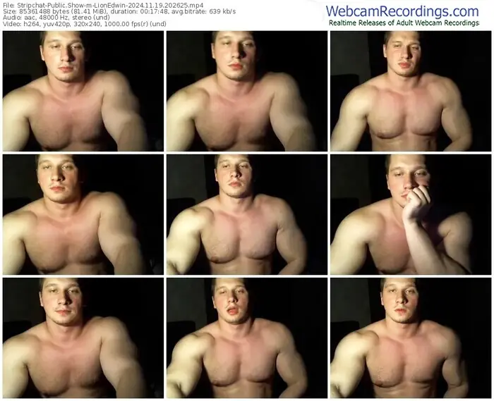 stripchat-lionedwin-11-19-2024-20-26-25