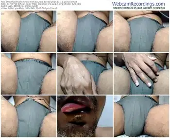 stripchat-masculine_breed-11-19-2024-20-31-34