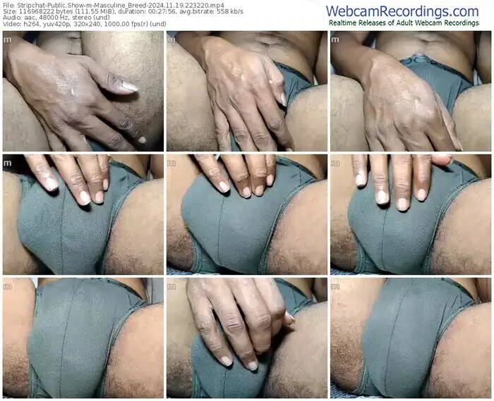 stripchat-masculine_breed-11-19-2024-22-32-20