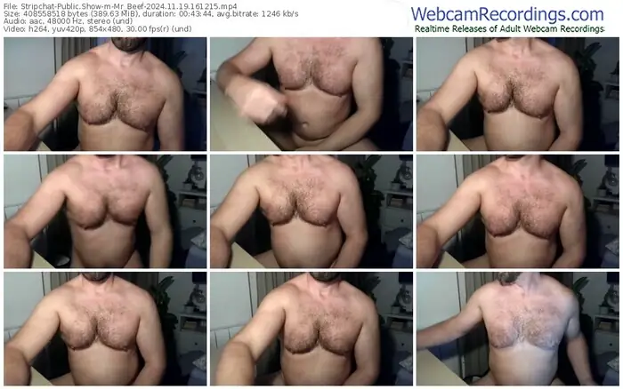 stripchat-mr_beef-11-19-2024-16-12-15