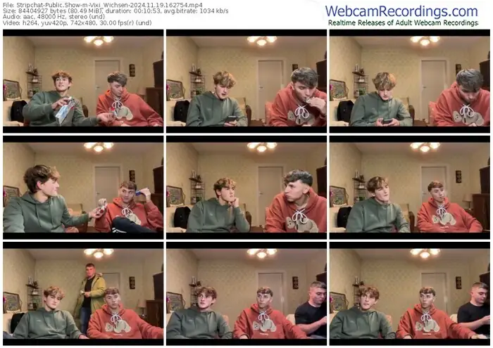 stripchat-vixi_wichsen-11-19-2024-16-27-54