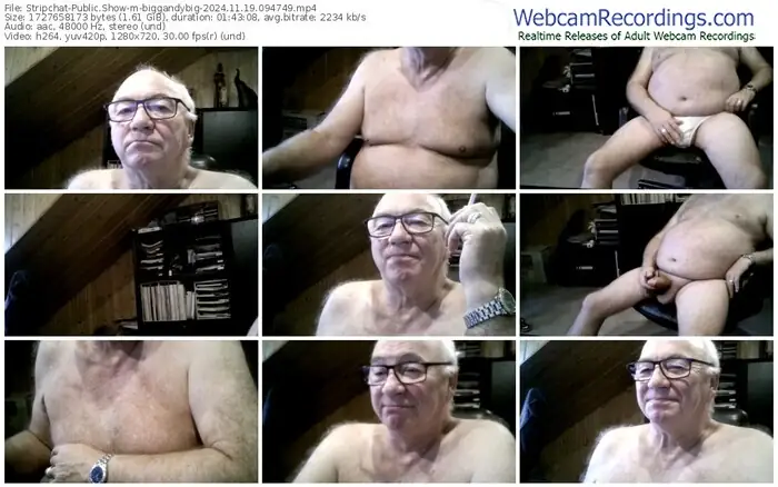 stripchat-biggandybig-11-19-2024-09-47-49