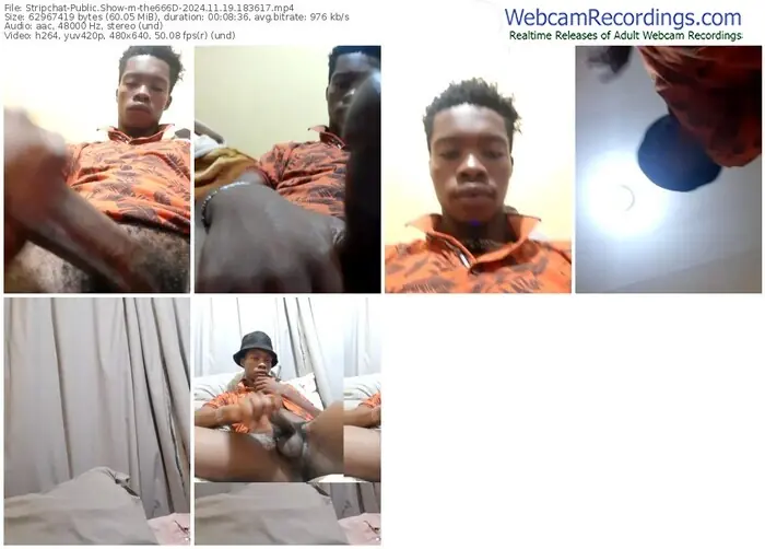 stripchat-the666d-11-19-2024-18-36-17