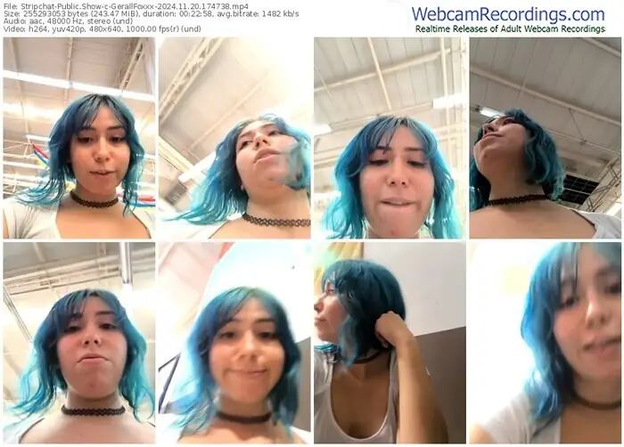 stripchat-gerallfoxxx-11-20-2024-17-47-38