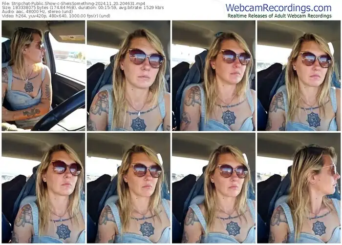 stripchat-sheissomething-11-20-2024-20-46-31