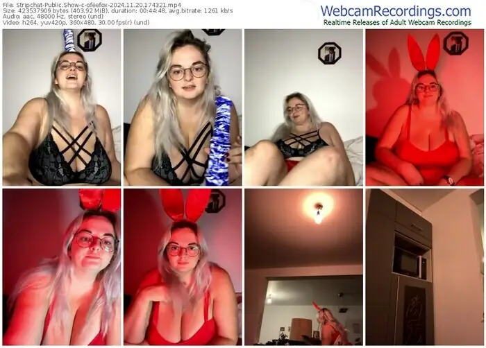 stripchat-ofeefox-11-20-2024-17-43-21