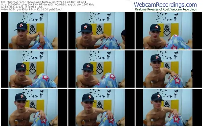 stripchat-wild_fantasy_69-11-20-2024-10-51-28