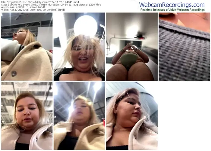 stripchat-allysonk-11-20-2024-12-46-41