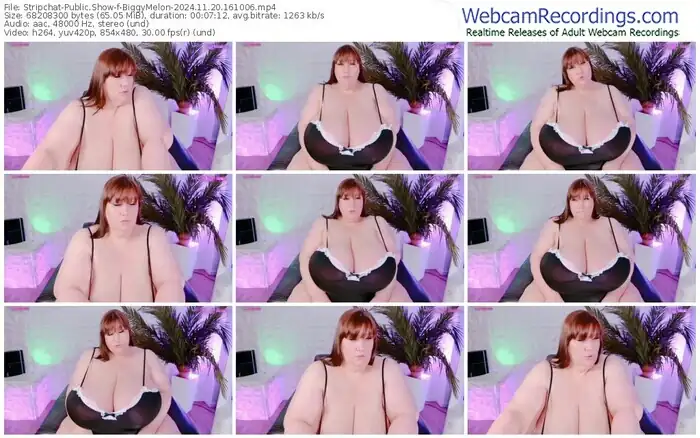 stripchat-biggymelon-11-20-2024-16-10-06