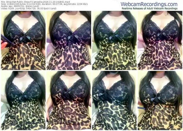 stripchat-cameelia-11-20-2024-19-28-41