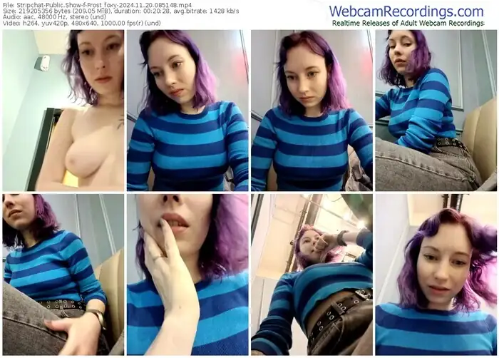 stripchat-frost_foxy-11-20-2024-08-51-48