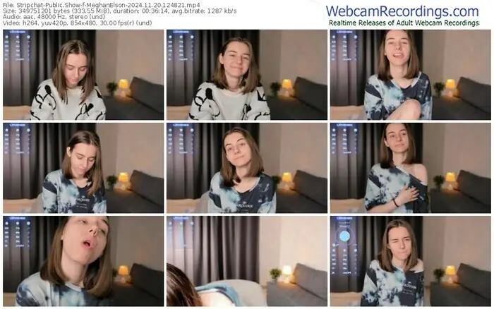 stripchat-meghanelson-11-20-2024-12-48-21
