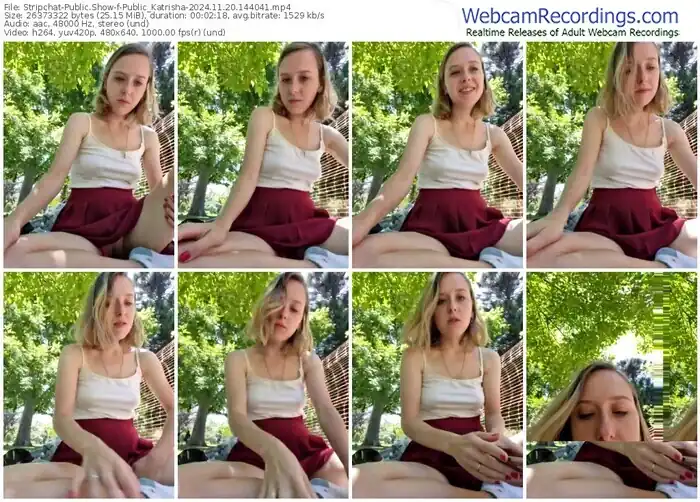 stripchat-public_katrisha-11-20-2024-14-40-41