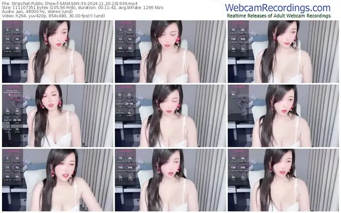 stripchat-sanasan-33-11-20-2024-23-19-39