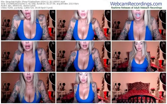 stripchat-sadieglam-11-20-2024-10-55-57