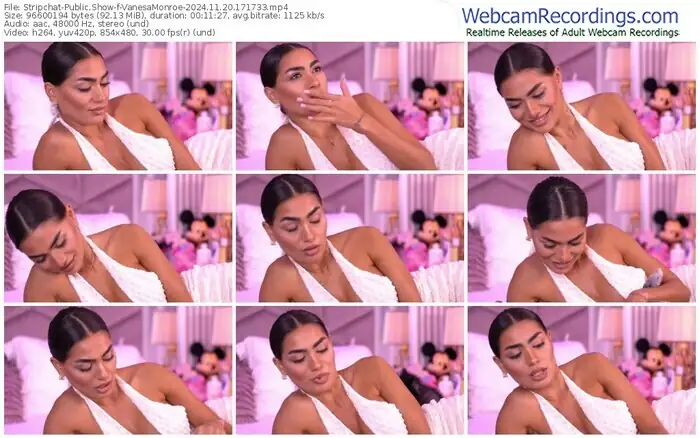 stripchat-vanesamonroe-11-20-2024-17-17-33
