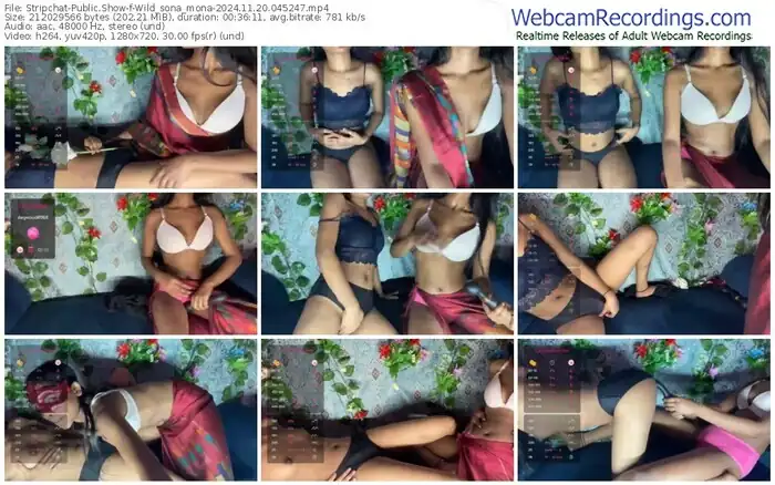 stripchat-wild_sona_mona-11-20-2024-04-52-47