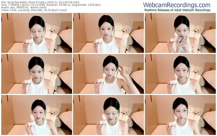 stripchat-xueb_j-11-20-2024-14-57-18