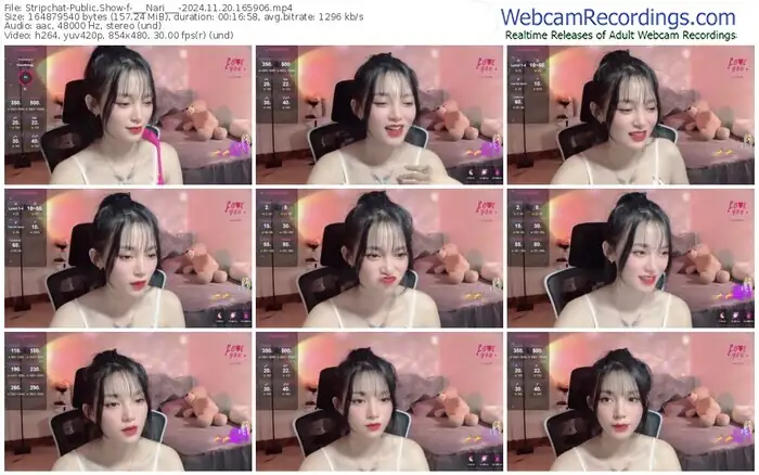 stripchat-___nari___-11-20-2024-16-59-06