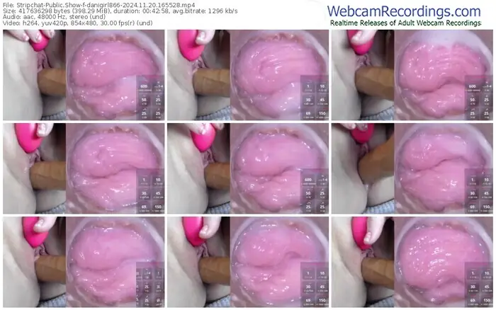 stripchat-danigirl866-11-20-2024-16-55-28