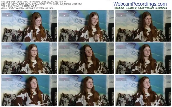 stripchat-gertanord-11-20-2024-23-18-38