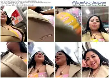 stripchat-shashemel-11-20-2024-18-31-02