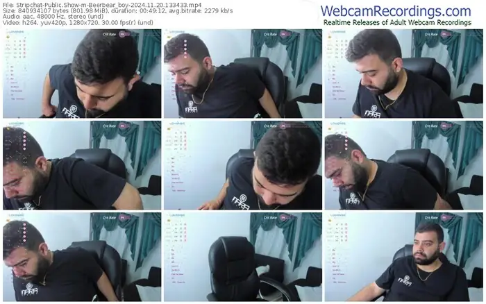 stripchat-beerbear_boy-11-20-2024-13-34-33