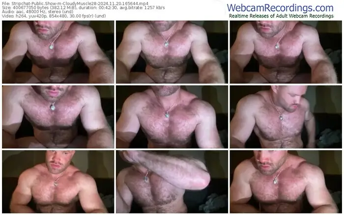 stripchat-cloudymuscle28-11-20-2024-16-56-44