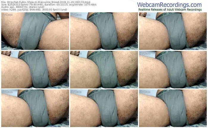 stripchat-masculine_breed-11-20-2024-18-21-33