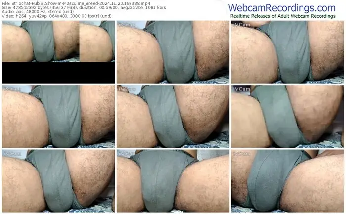 stripchat-masculine_breed-11-20-2024-19-23-38