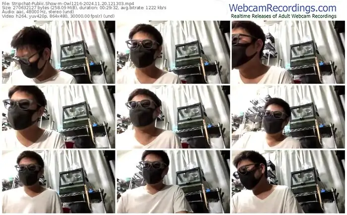 stripchat-owl1216-11-20-2024-12-13-03