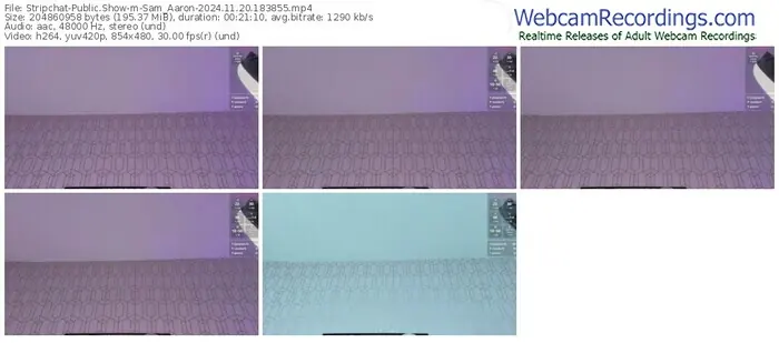 stripchat-sam_aaron-11-20-2024-18-38-55