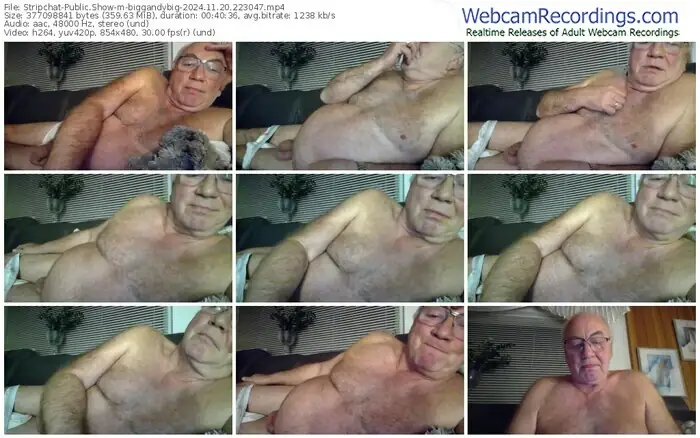 stripchat-biggandybig-11-20-2024-22-30-47