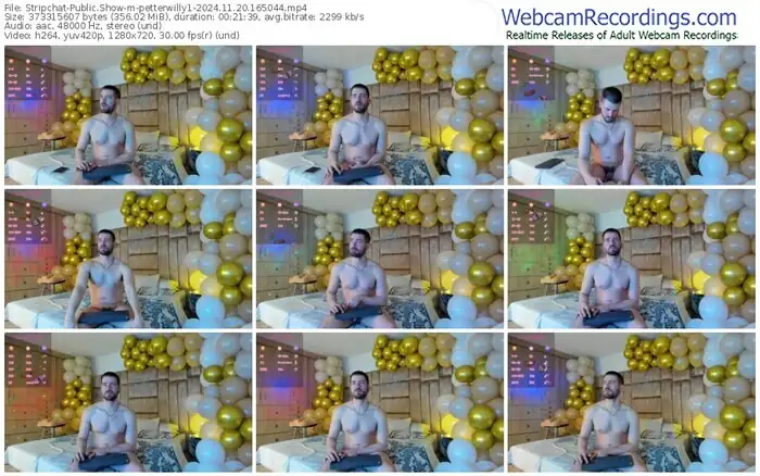 stripchat-petterwilly1-11-20-2024-16-50-44