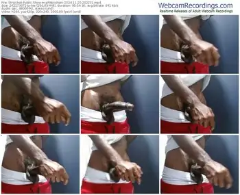 stripchat-phbbcsham-11-20-2024-20-22-31