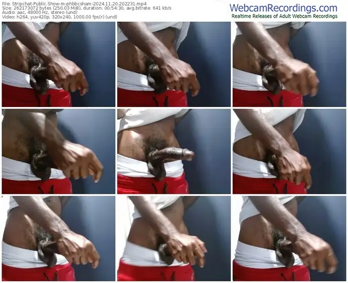 stripchat-phbbcsham-11-20-2024-20-22-31